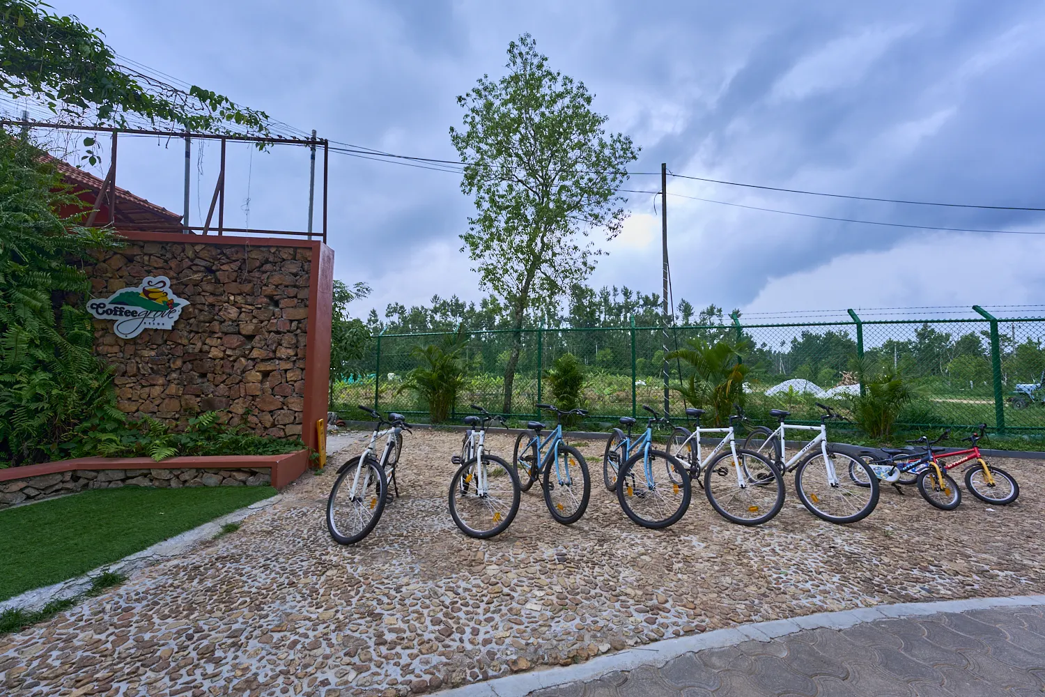 Cycling Trails