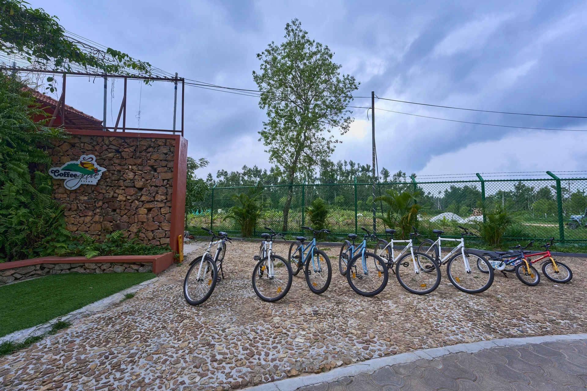 Cycling Trail