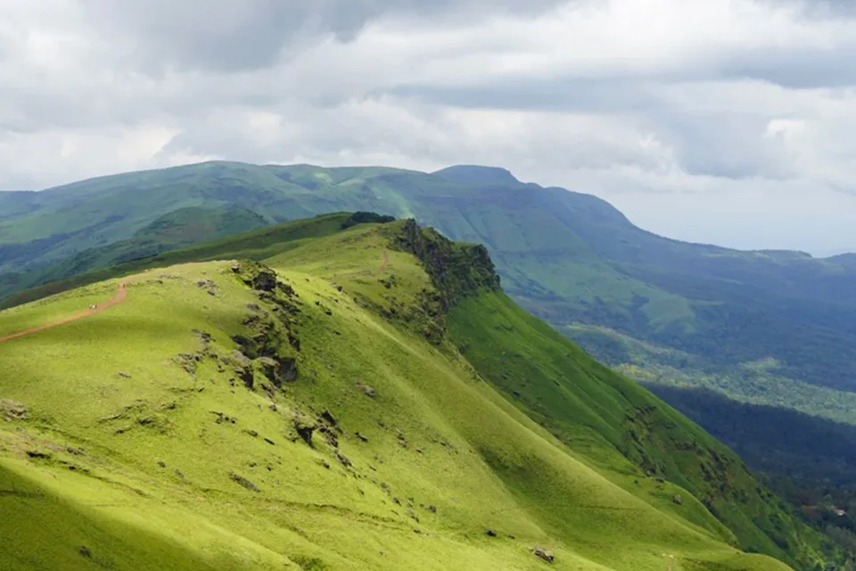 Lush green hills and coffee plantation landscape in Chikmagalur