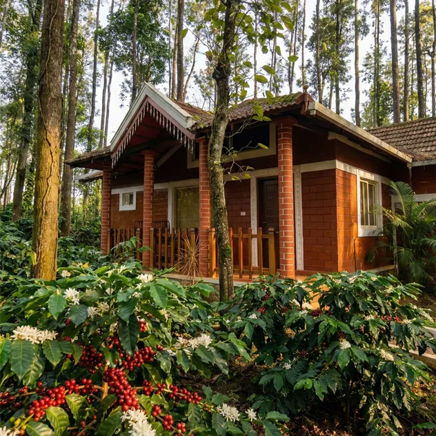 Deluxe Cottage with private balcony overlooking coffee plantation